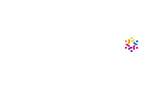 Our Services
